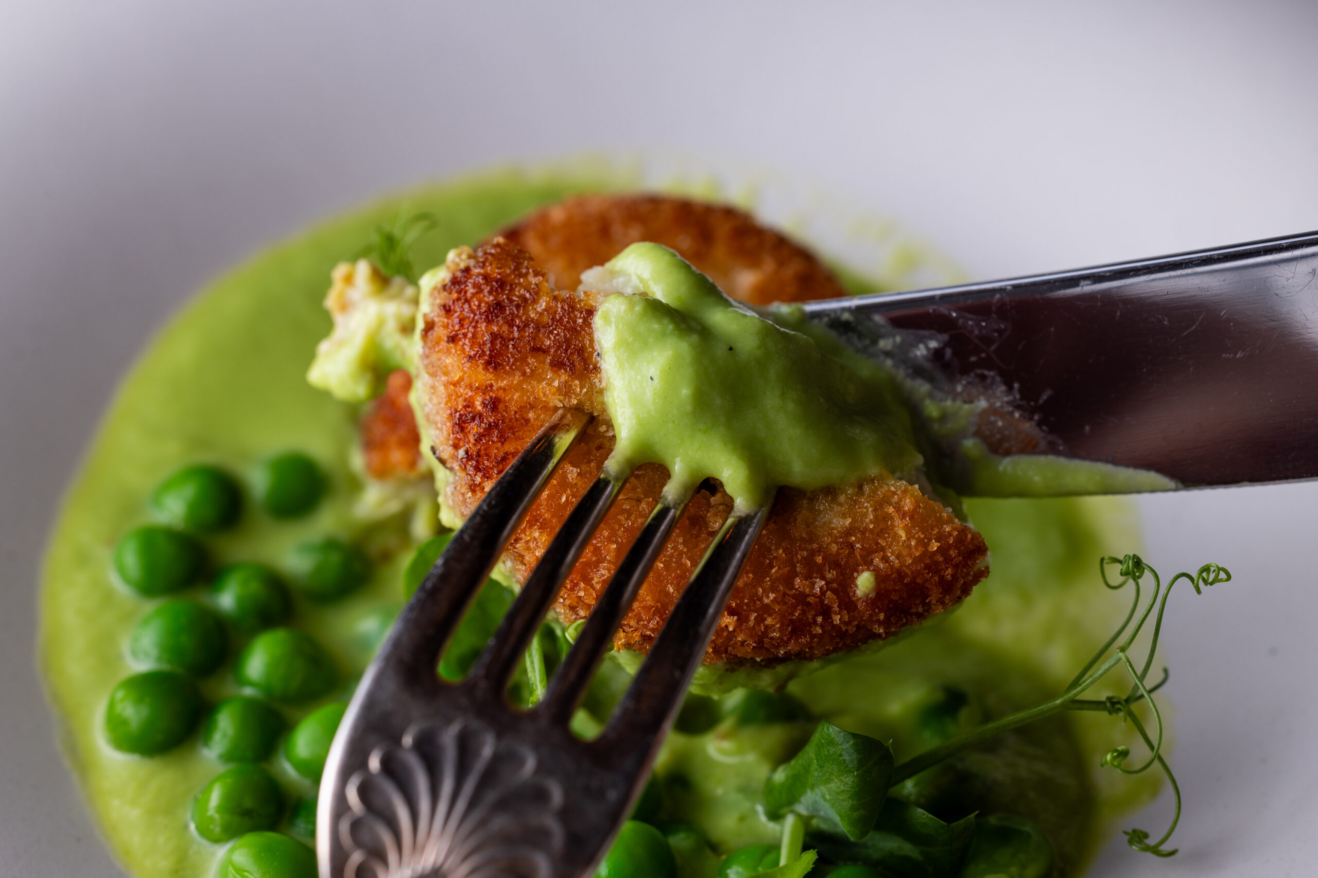 本格イタリアン5