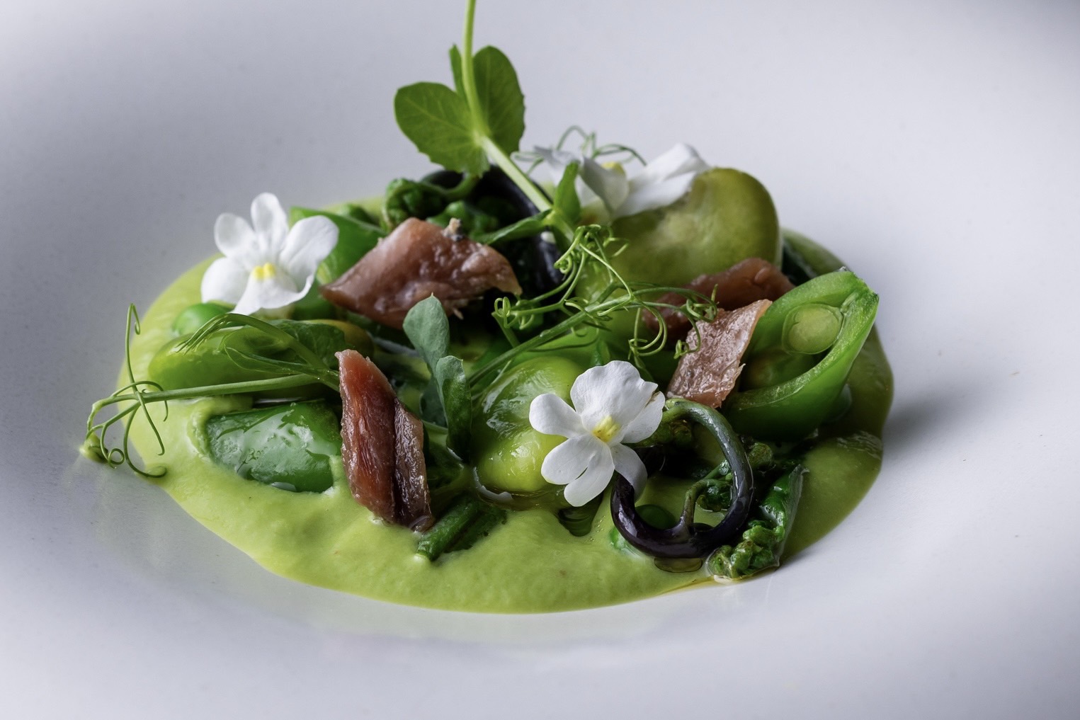 本格イタリアン6